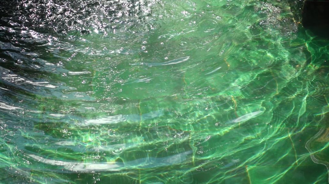 water-ripples-2022-08-03-13-58-07-utc