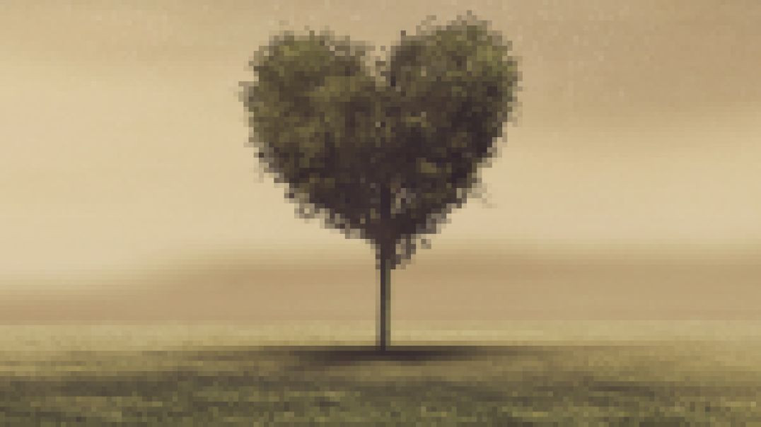 Episode 57: The Hardening of the Heart