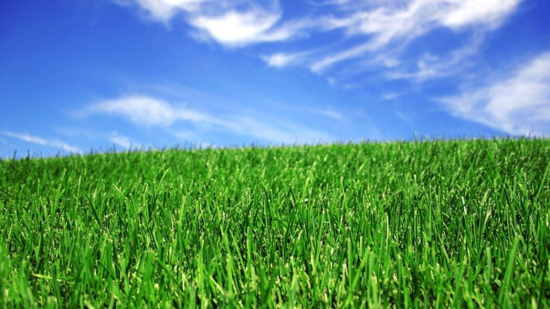 Episode 140: The Green New Deal